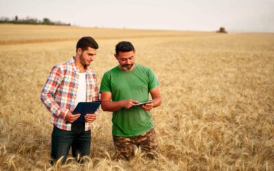 Análise e interpretação de dados no agronegócio